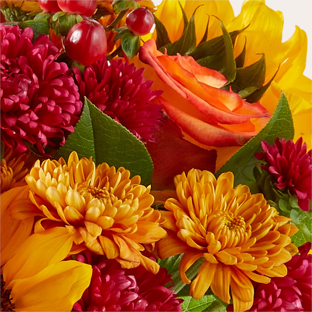 Sweater Season - A Florist Original – Peonia Flowers Llc, Lakewood NJ