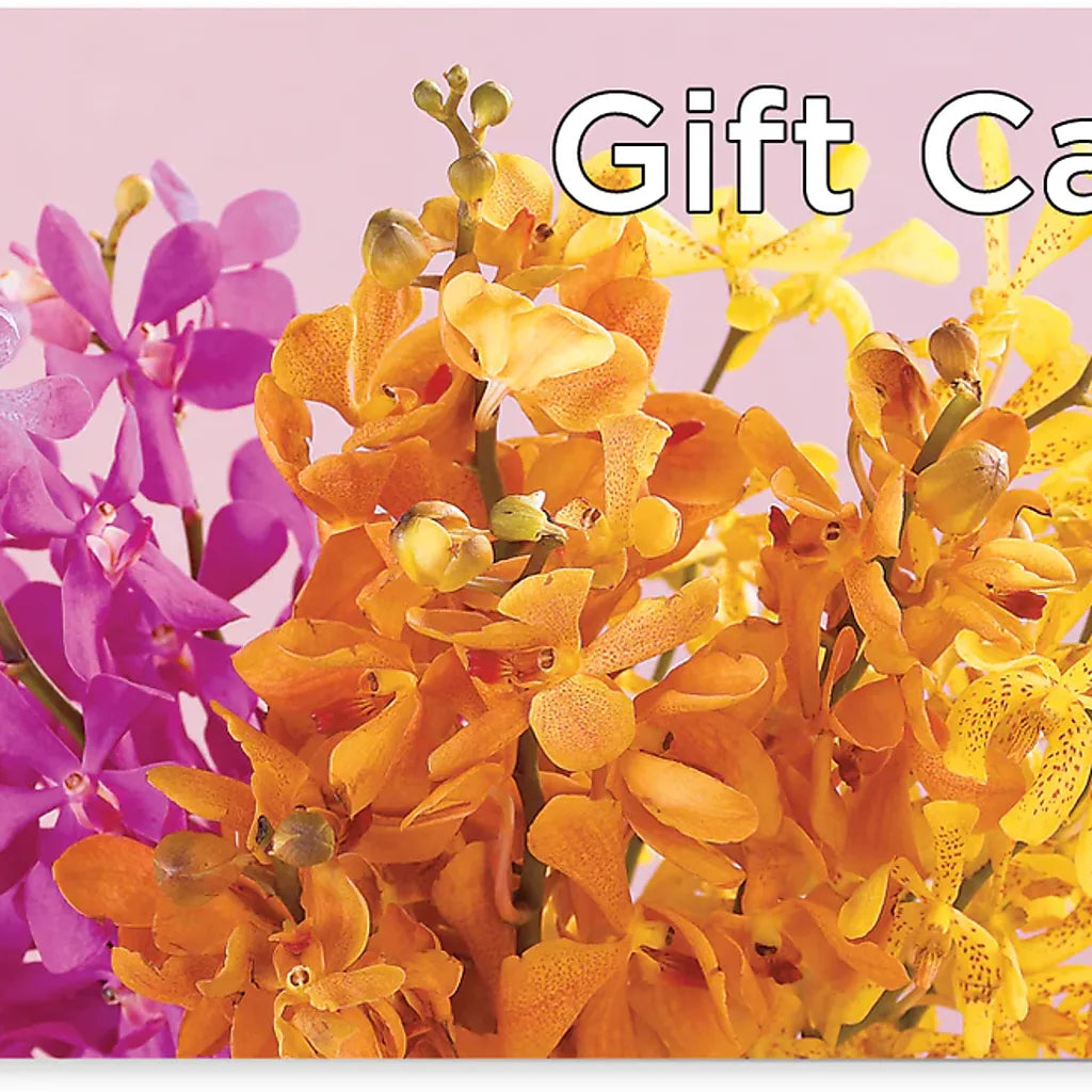 Gift Card – Peonia Flowers Llc, Lakewood NJ