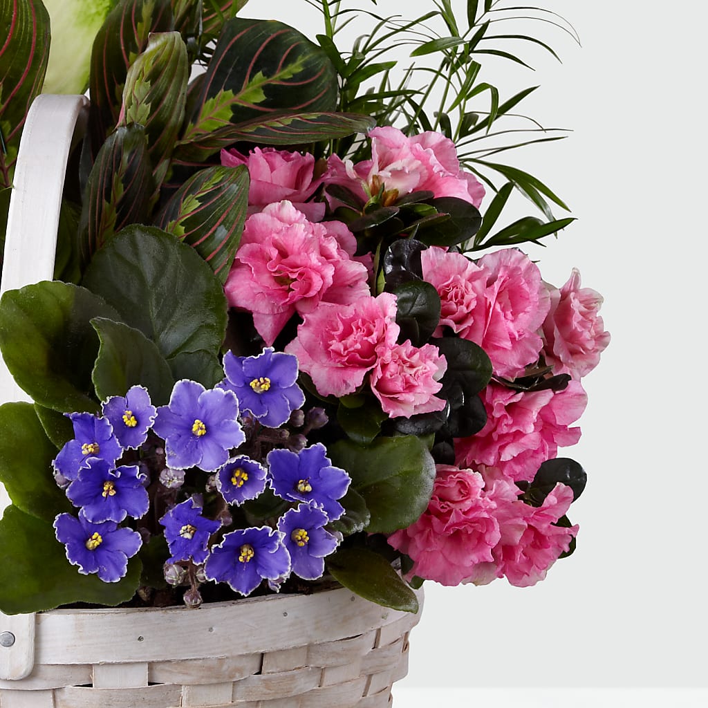 Peaceful Garden Planter – Peonia Flowers Llc, Lakewood NJ