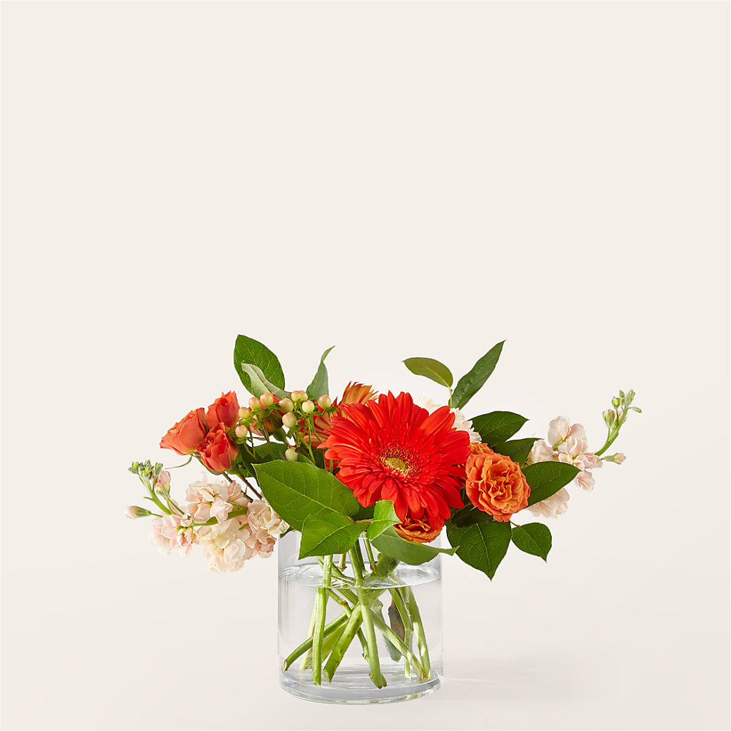 Paloma Please Bouquet – Peonia Flowers Llc, Lakewood NJ