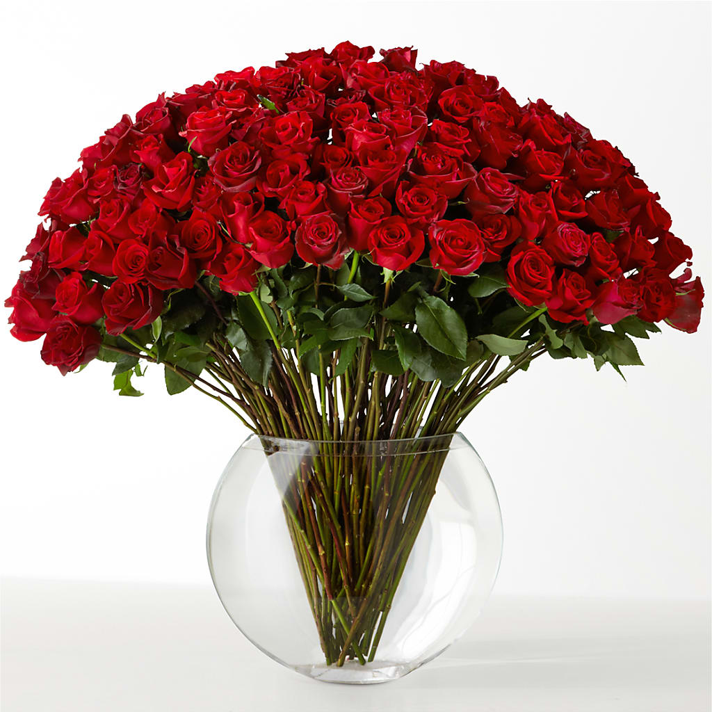 The Idealist – Peonia Flowers Llc, Lakewood NJ