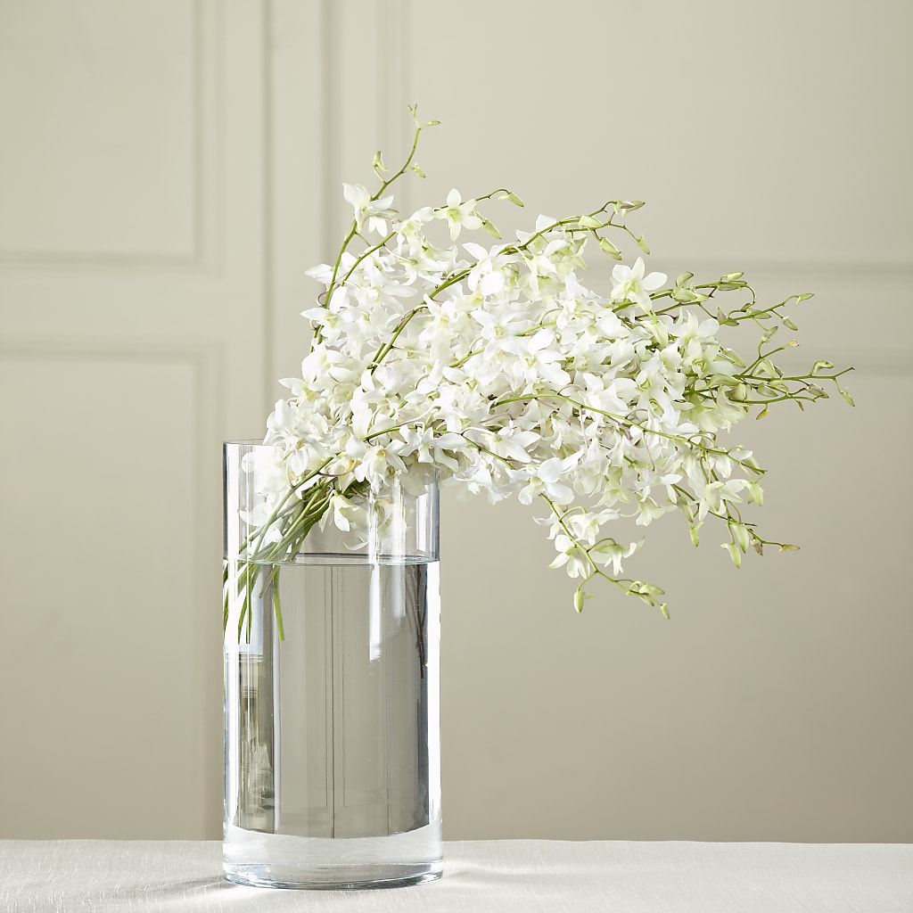 White Dendrobium Bouquet – Peonia Flowers Llc, Lakewood NJ