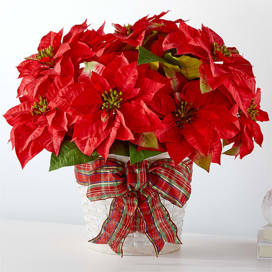 Happiest Holidays Poinsettia –  Peonia Flowers Llc, Lakewood NJ