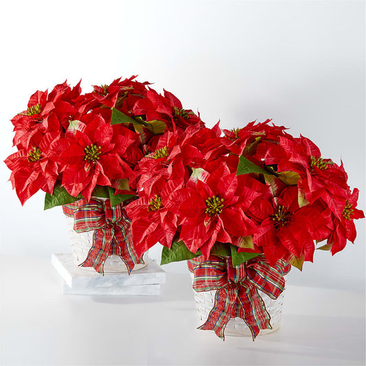 Happiest Holidays Poinsettia Bundle –  Peonia Flowers Llc, Lakewood NJ