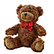 Adorable Plush Bear –  Peonia Flowers Llc, Lakewood NJ