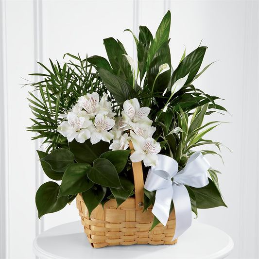 Peace & Serenity Dishgarden –  Peonia Flowers Llc, Lakewood NJ