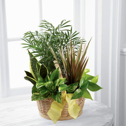 French Garden –  Peonia Flowers Llc, Lakewood NJ