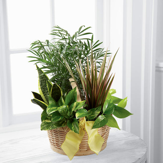 French Garden –  Peonia Flowers Llc, Lakewood NJ