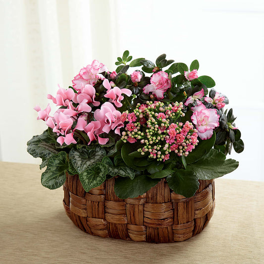 Pink Assortment –  Peonia Flowers Llc, Lakewood NJ