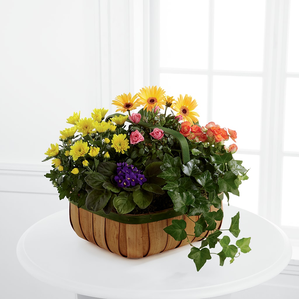 Gentle Blossoms Basket –  Peonia Flowers Llc, Lakewood NJ