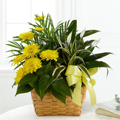 Loving Light Dishgarden –  Peonia Flowers Llc, Lakewood NJ