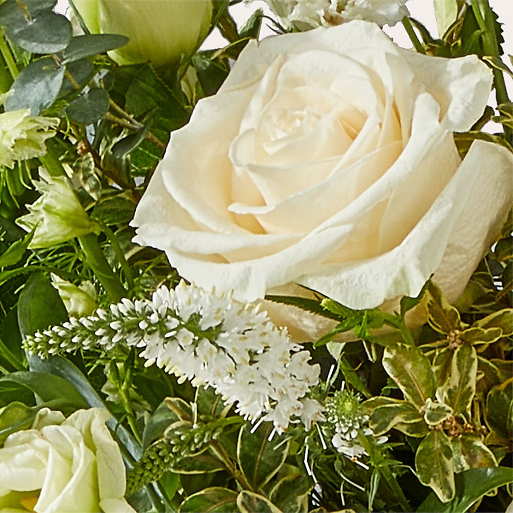 Cashmere Bouquet –  Peonia Flowers Llc, Lakewood NJ