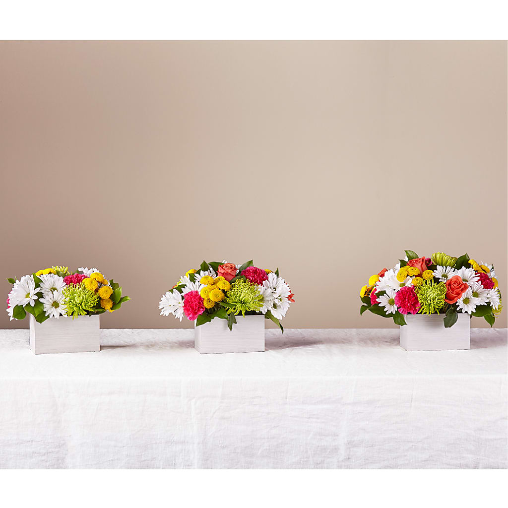 Sorbet Bouquet –  Peonia Flowers Llc, Lakewood NJ
