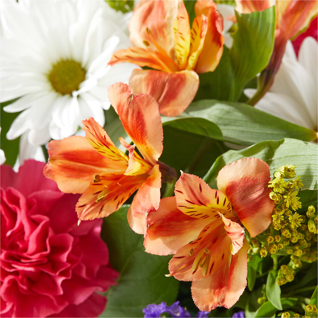 Oopsie Daisy Box Bouquet –  Peonia Flowers Llc, Lakewood NJ