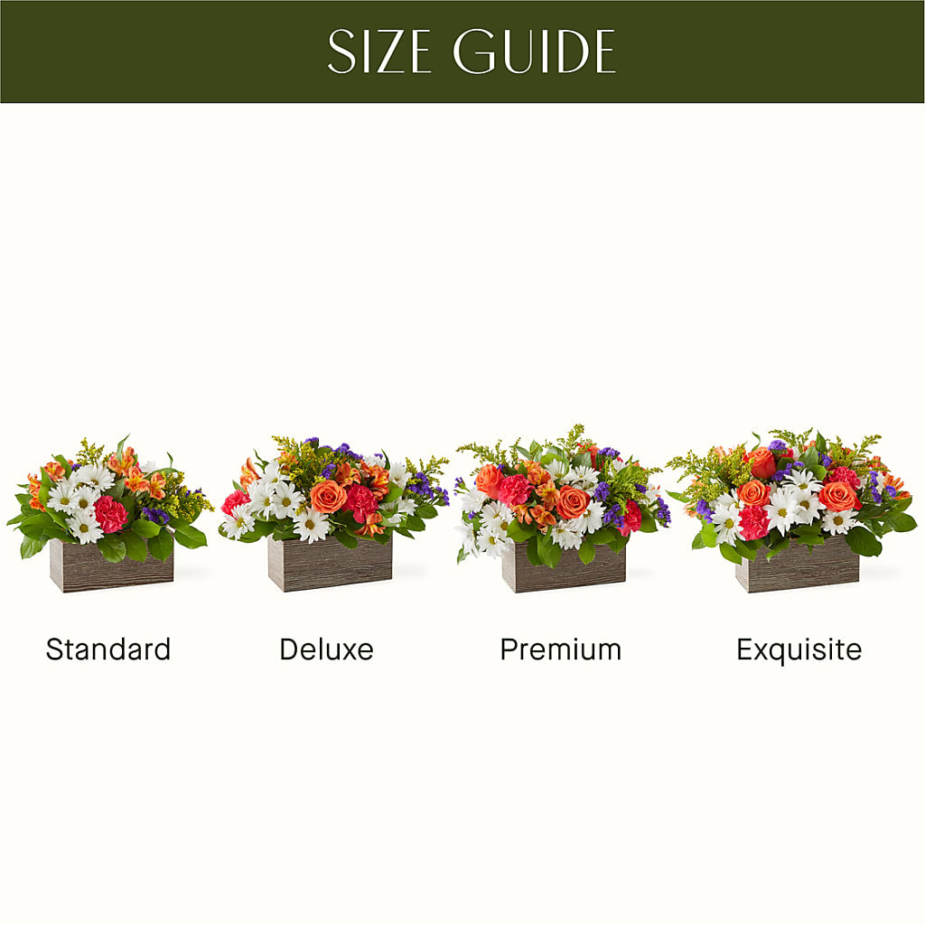 Oopsie Daisy Box Bouquet –  Peonia Flowers Llc, Lakewood NJ