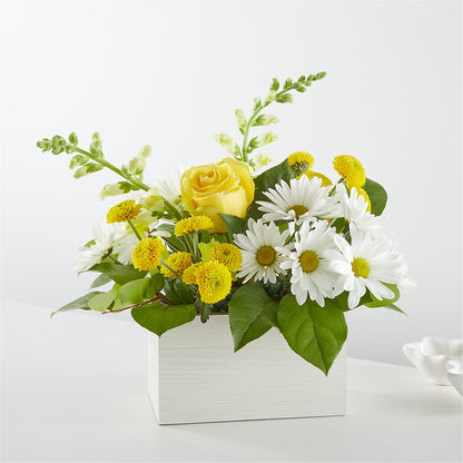 Sun Salutation Box Bouquet –  Peonia Flowers Llc, Lakewood NJ