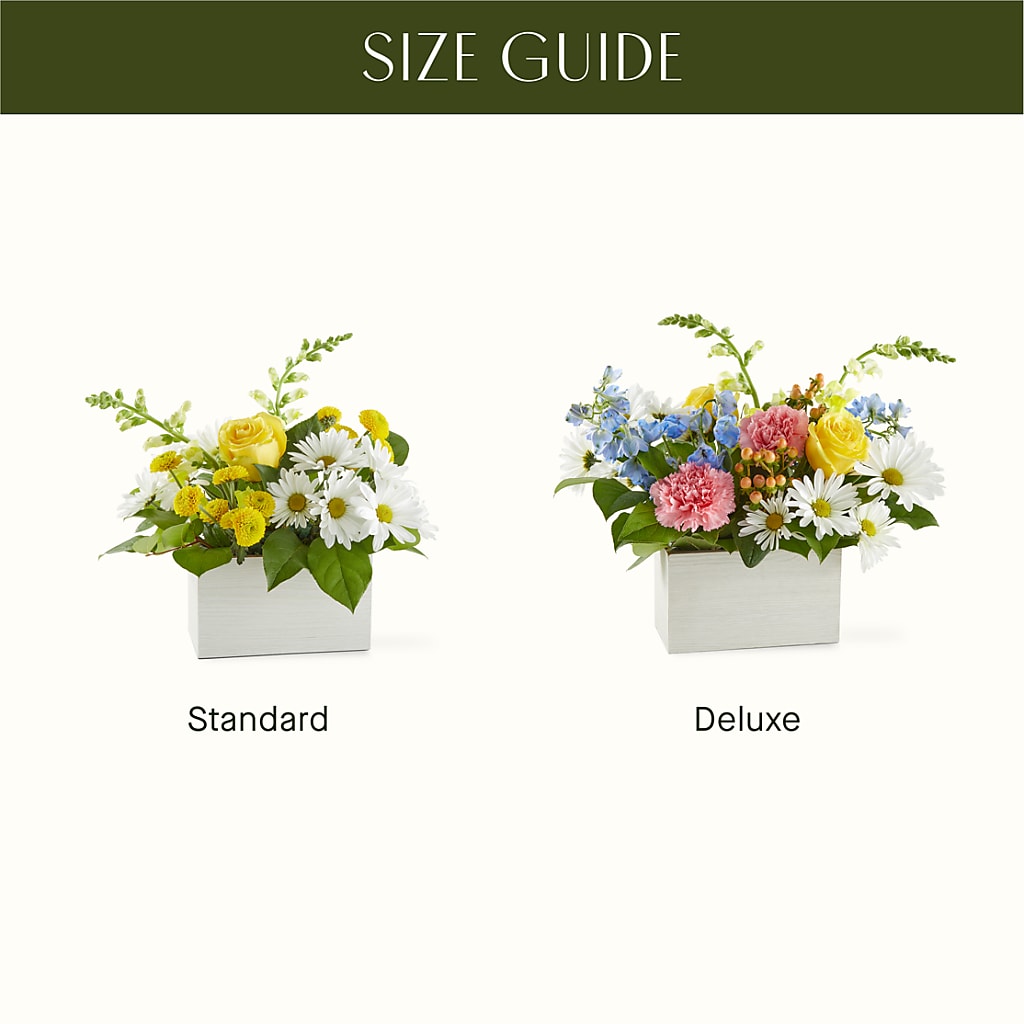 Sun Salutation Box Bouquet –  Peonia Flowers Llc, Lakewood NJ
