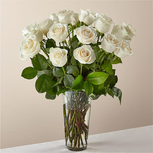 Long Stem White Rose Bouquet –  Peonia Flowers Llc, Lakewood NJ