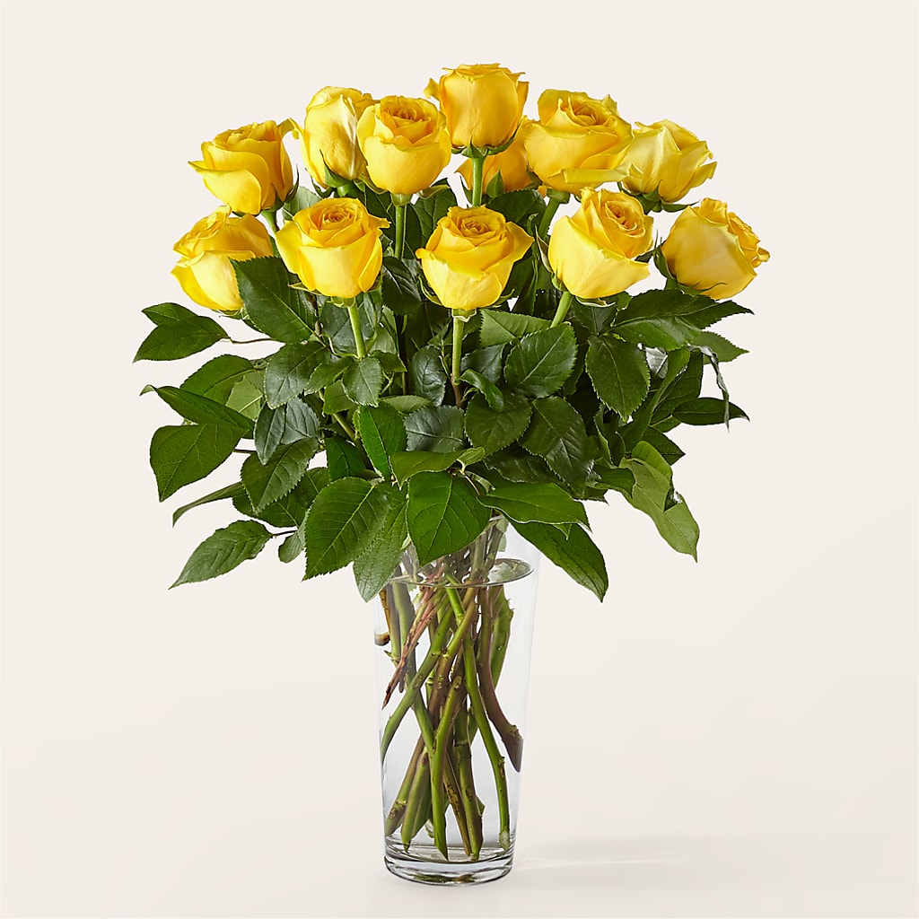 Long Stem Yellow Rose Bouquet –  Peonia Flowers Llc, Lakewood NJ