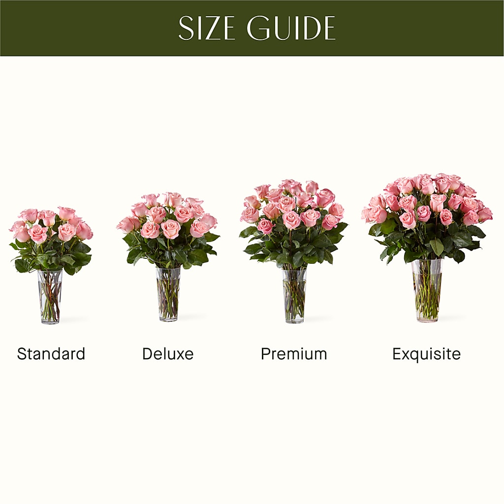 Long Stem Pink Rose Bouquet –  Peonia Flowers Llc, Lakewood NJ