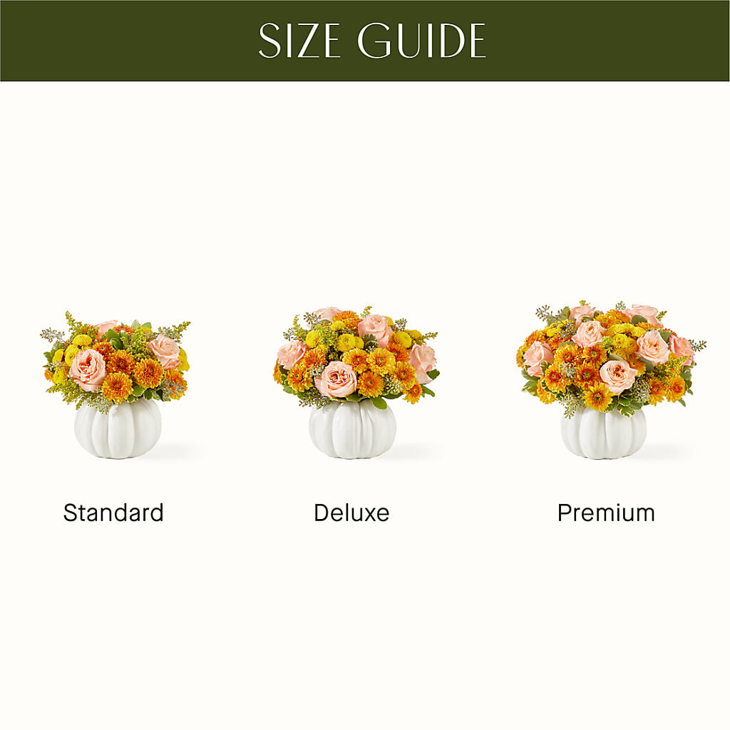 Peachy Pumpkin –  Peonia Flowers Llc, Lakewood NJ