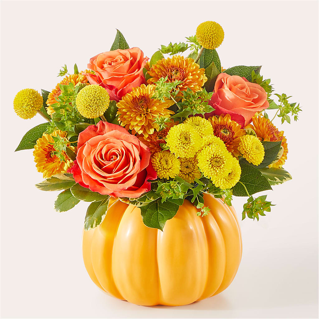 Gourdgeous Pumpkin –  Peonia Flowers Llc, Lakewood NJ