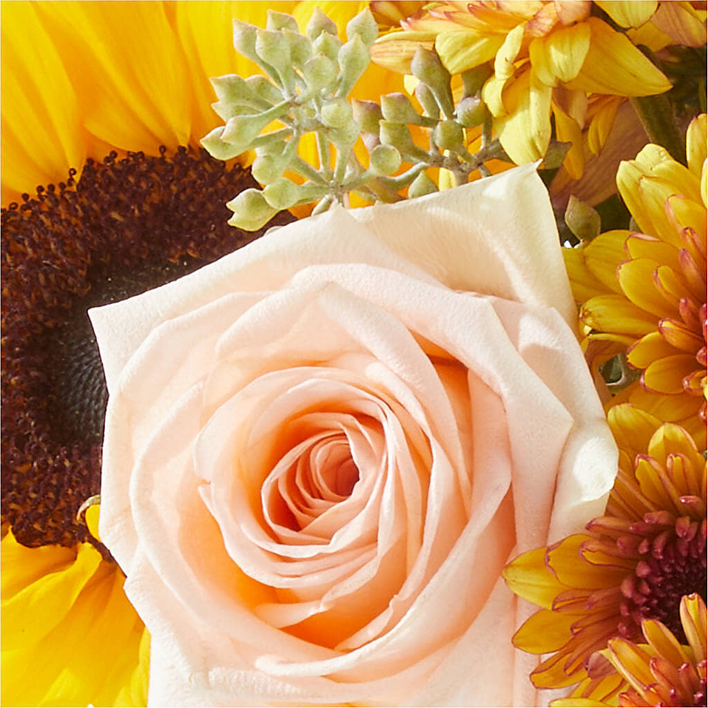 Pumpkin to Talk About Bouquet –  Peonia Flowers Llc, Lakewood NJ