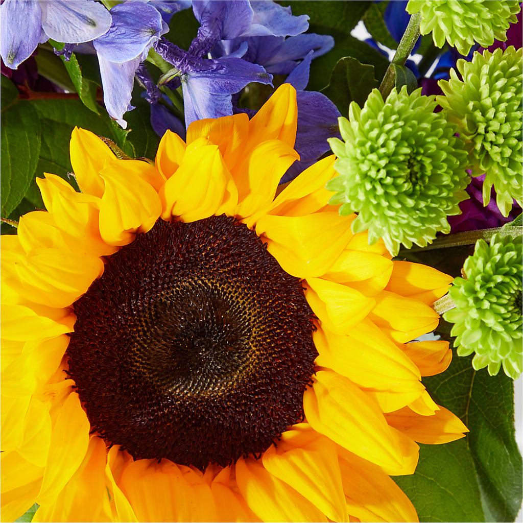 Catching Rays Bouquet –  Peonia Flowers Llc, Lakewood NJ
