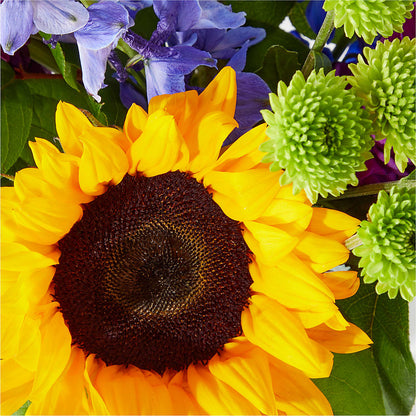 Catching Rays Bouquet –  Peonia Flowers Llc, Lakewood NJ