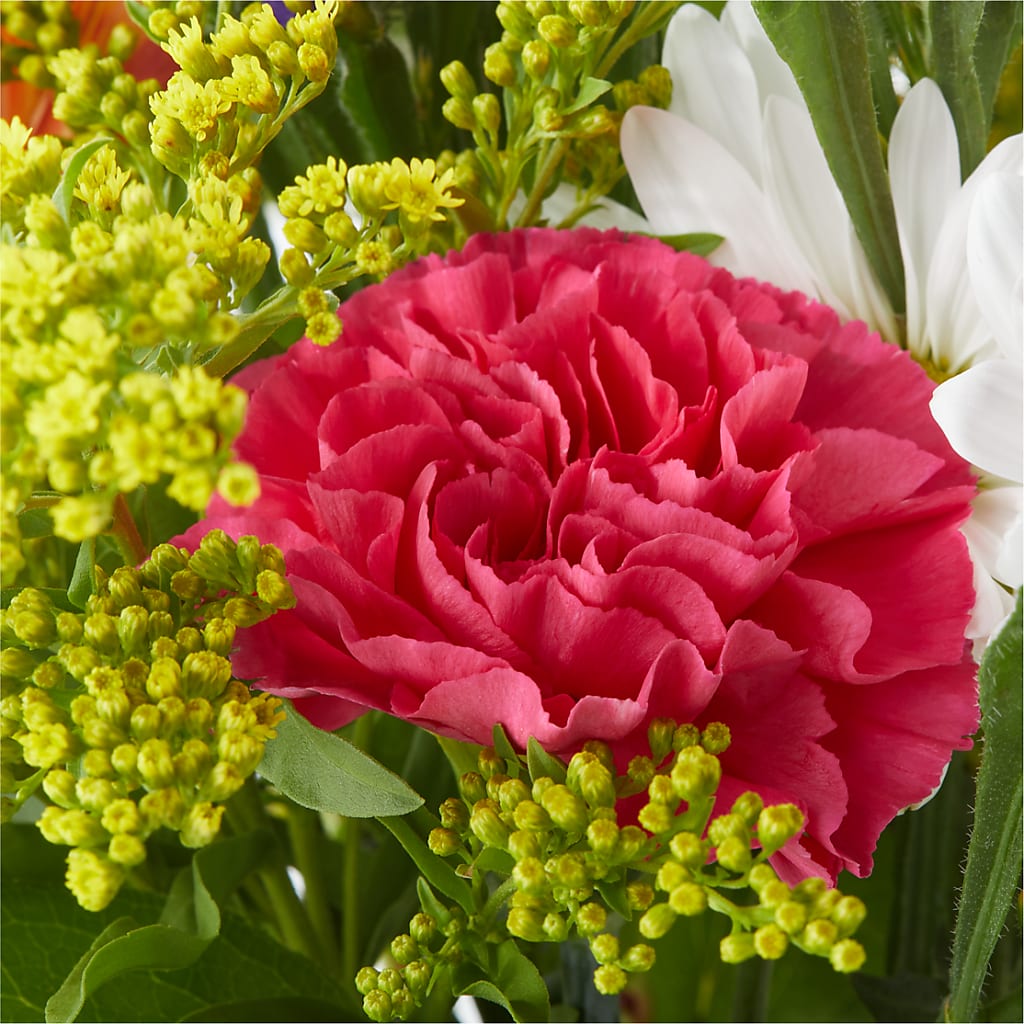 Oopsie Daisy Bouquet –  Peonia Flowers Llc, Lakewood NJ