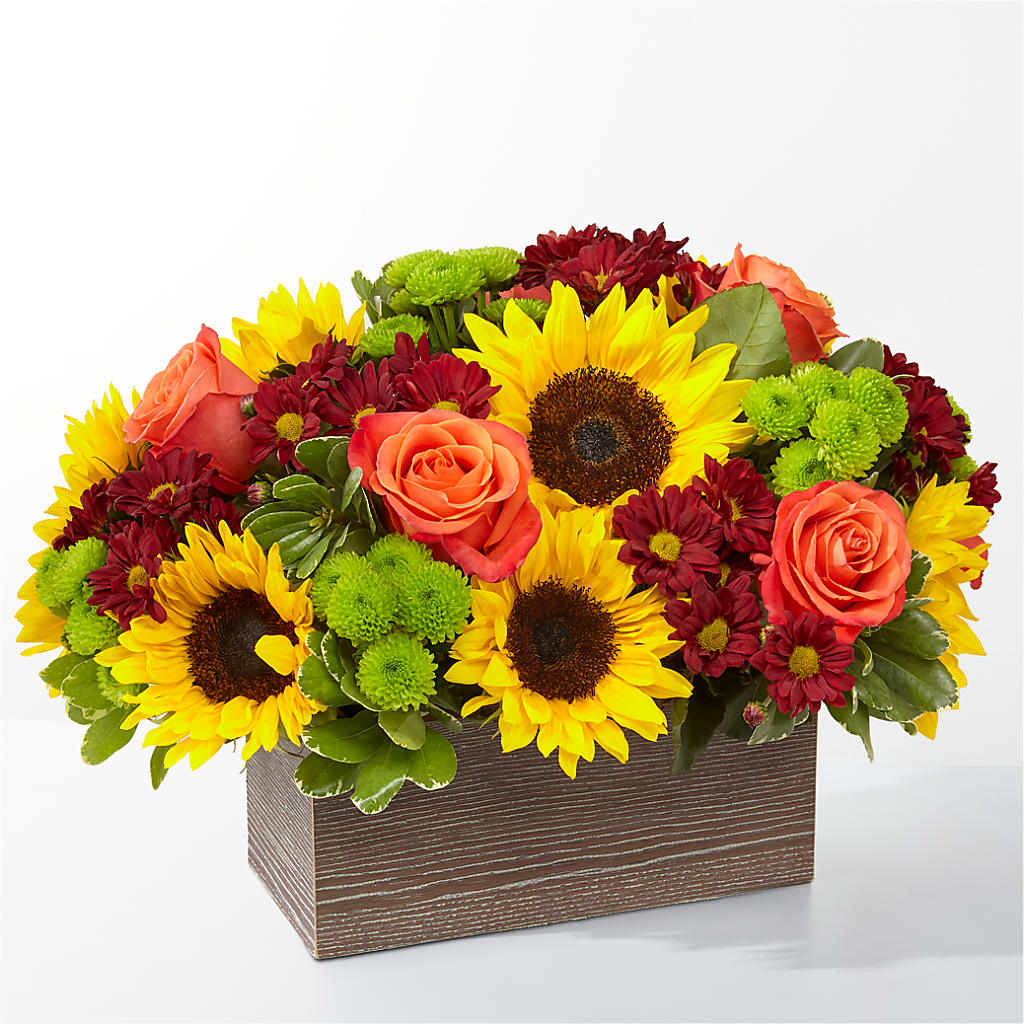 Happy Harvest Garden –  Peonia Flowers Llc, Lakewood NJ