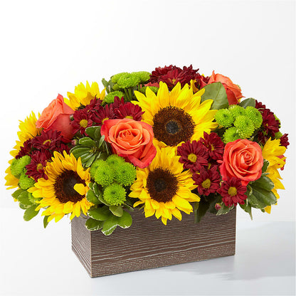 Happy Harvest Garden –  Peonia Flowers Llc, Lakewood NJ