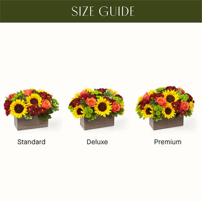 Happy Harvest Garden –  Peonia Flowers Llc, Lakewood NJ