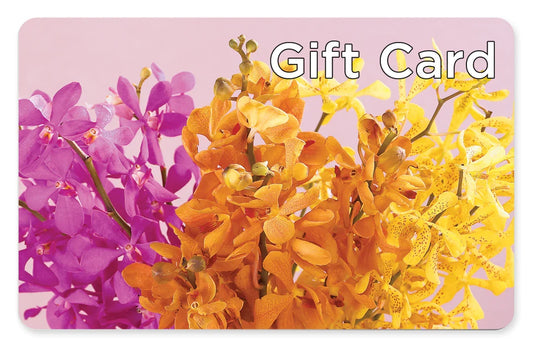 Gift Card –  Peonia Flowers Llc, Lakewood NJ