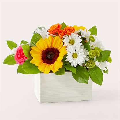 Sun-drenched Blooms Box Bouquet –  Peonia Flowers Llc, Lakewood NJ
