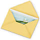 Greeting Card –  Peonia Flowers Llc, Lakewood NJ