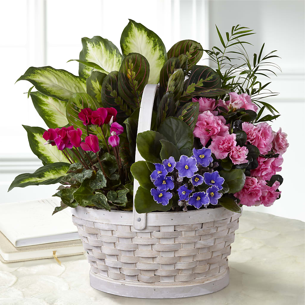 Peaceful Garden Planter –  Peonia Flowers Llc, Lakewood NJ