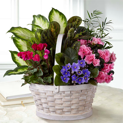 Peaceful Garden Planter –  Peonia Flowers Llc, Lakewood NJ