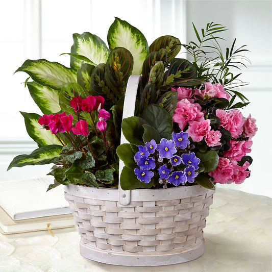 Peaceful Garden Planter –  Peonia Flowers Llc, Lakewood NJ