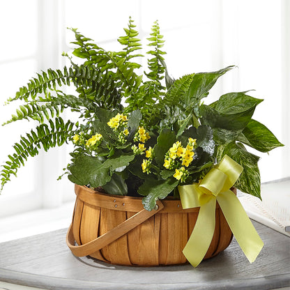 Always Dear Dishgarden –  Peonia Flowers Llc, Lakewood NJ