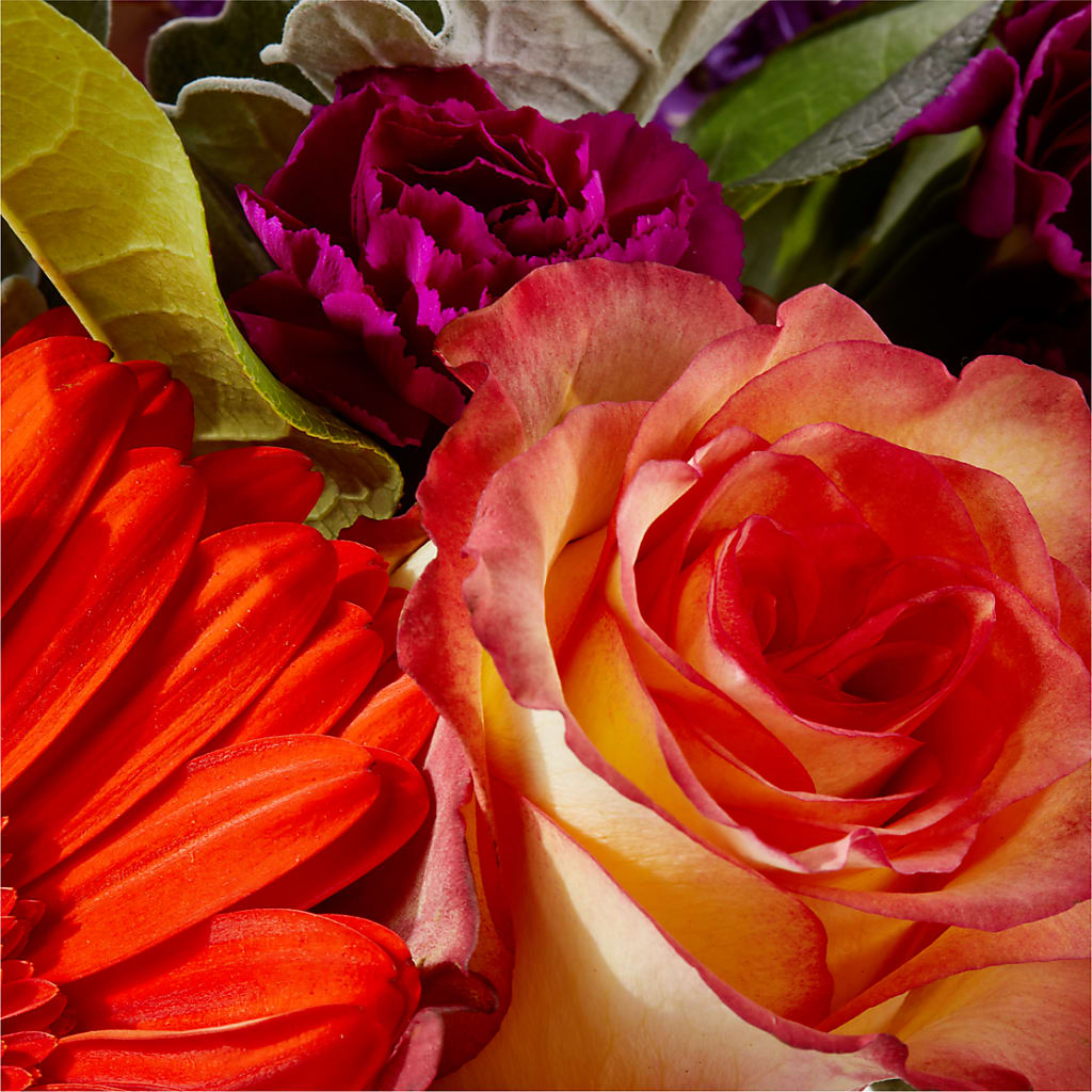 Sangria Bouquet –  Peonia Flowers Llc, Lakewood NJ