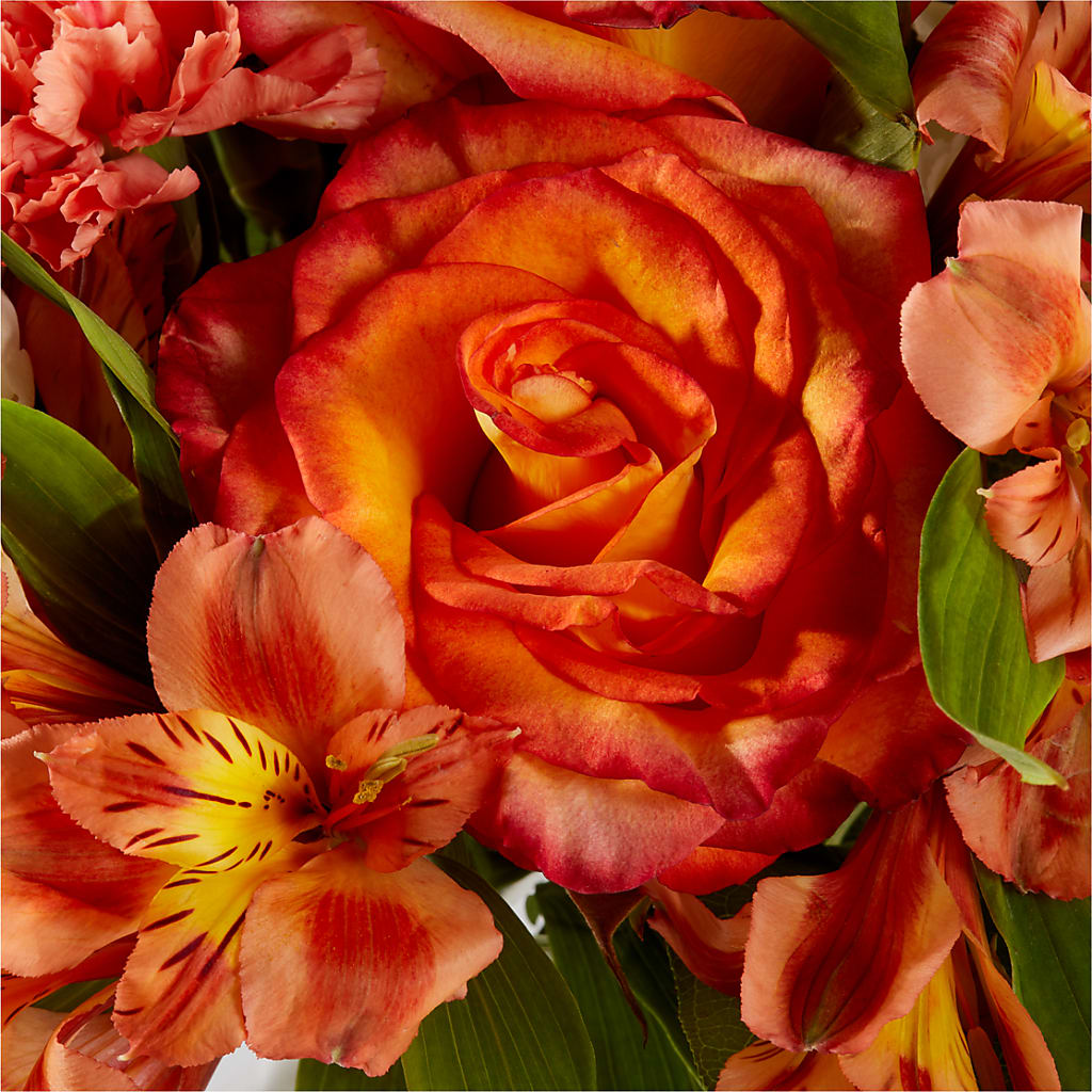 Apricot Glow Bouquet –  Peonia Flowers Llc, Lakewood NJ