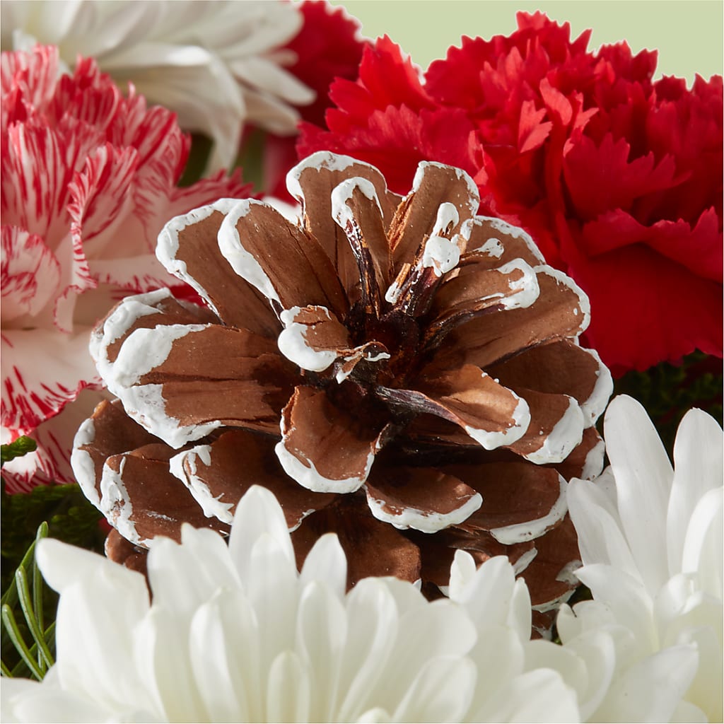 Candy Cane Lane Bouquet –  Peonia Flowers Llc, Lakewood NJ