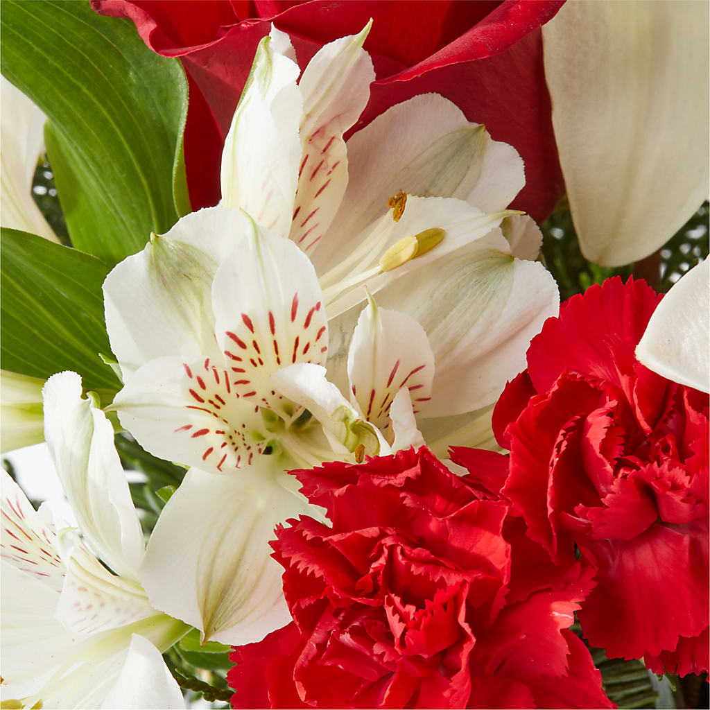 Holiday Season Bouquet –  Peonia Flowers Llc, Lakewood NJ