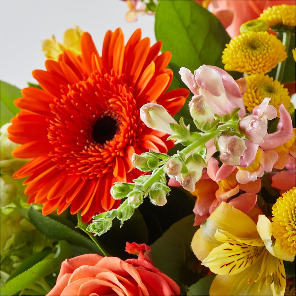 Autumn Sunshine Bouquet –  Peonia Flowers Llc, Lakewood NJ