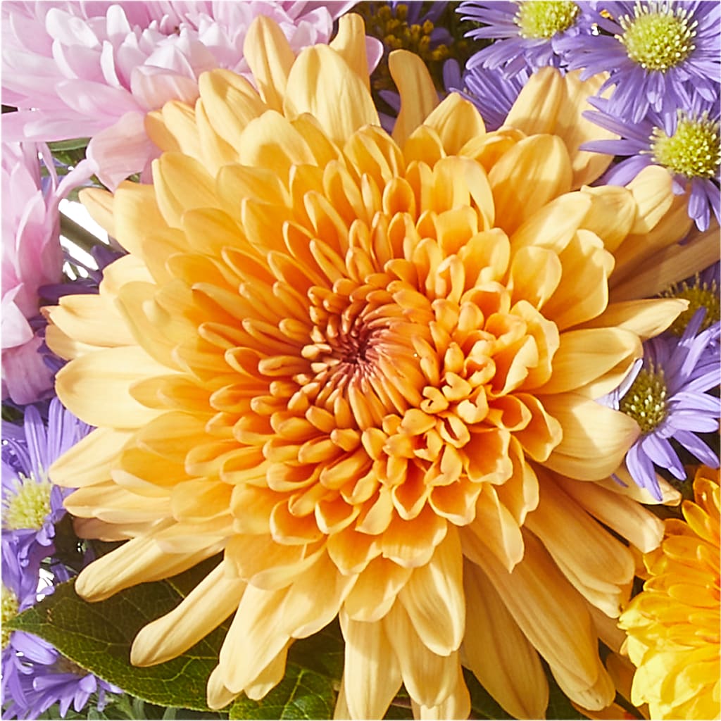 Countryside Bouquet –  Peonia Flowers Llc, Lakewood NJ