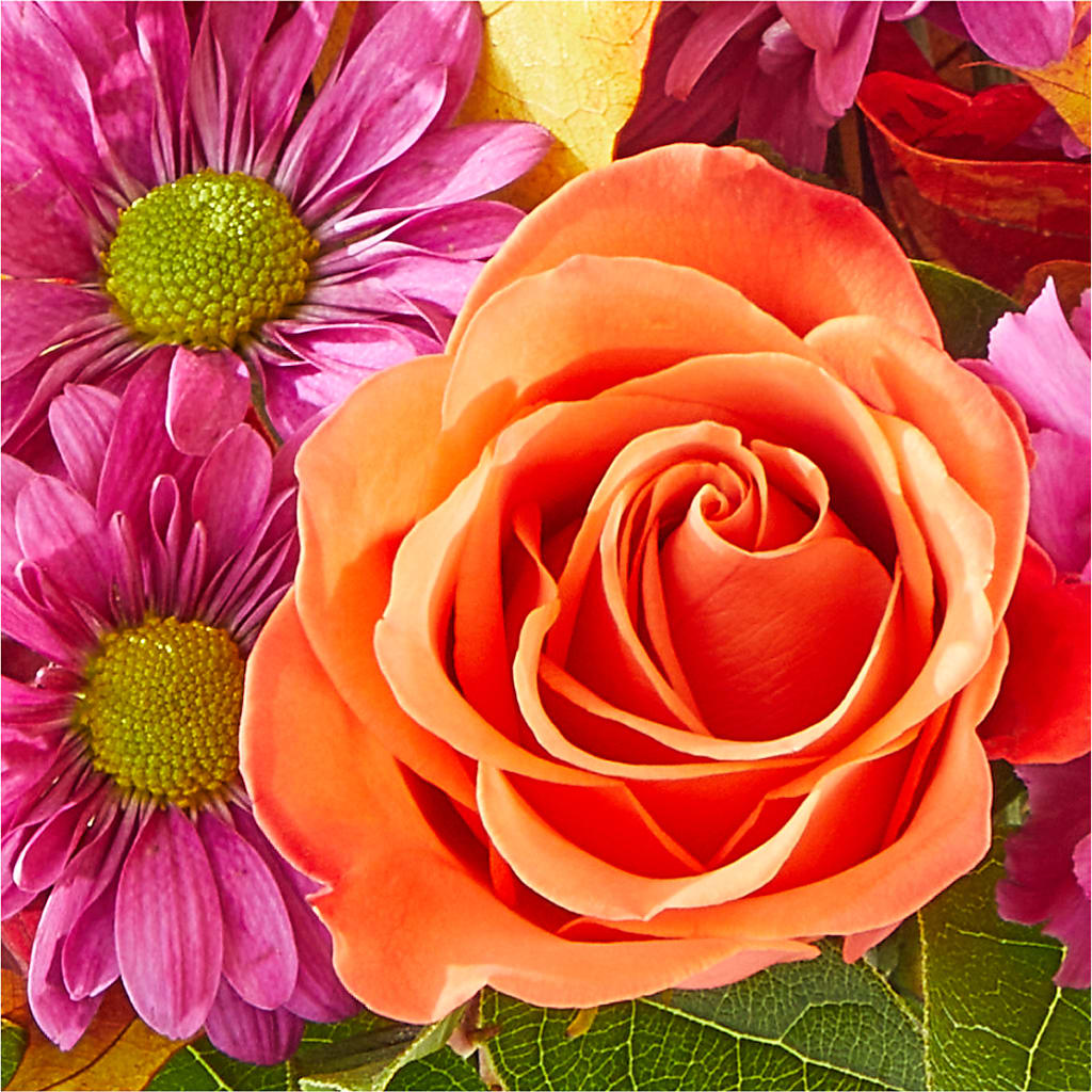 Mum's the Word Bouquet –  Peonia Flowers Llc, Lakewood NJ