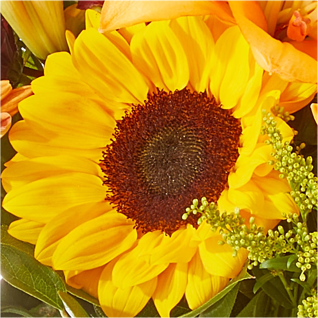 Seasons Change Bouquet –  Peonia Flowers Llc, Lakewood NJ