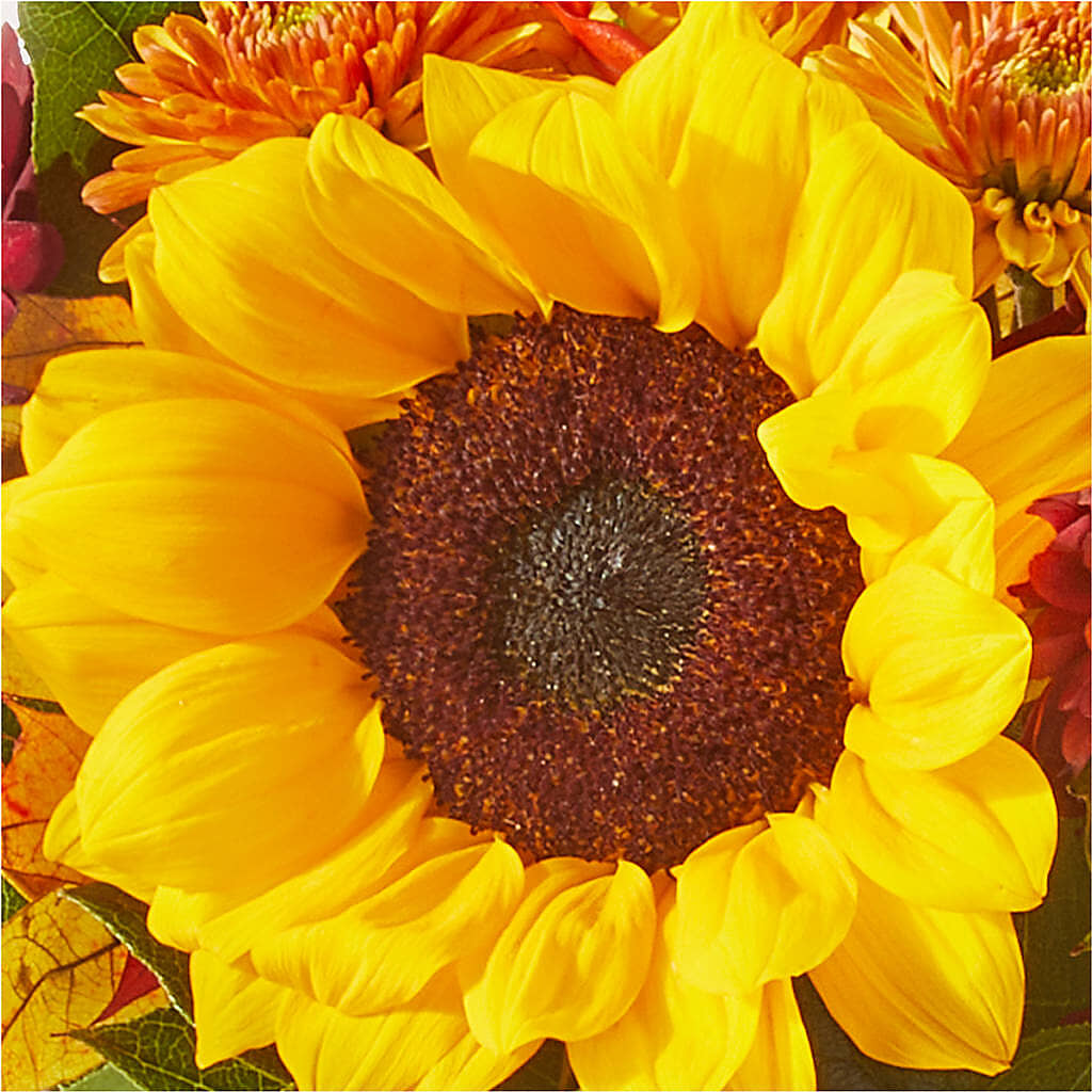 Sunny Side Bouquet –  Peonia Flowers Llc, Lakewood NJ