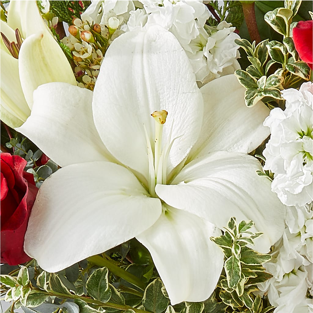 Twinkle Lights Bouquet –  Peonia Flowers Llc, Lakewood NJ